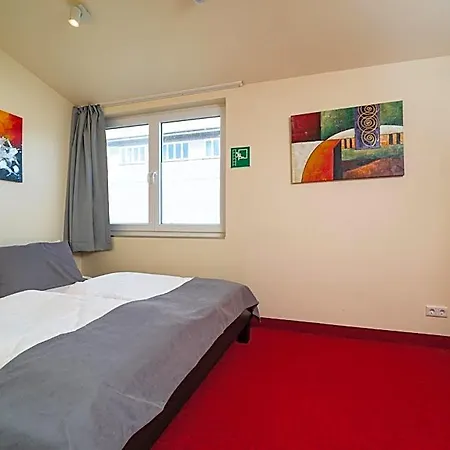 Reinoldus 3*
